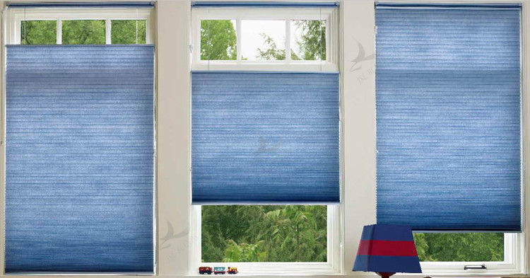 Day And Night Honeycomb Cordless Shade Blinds