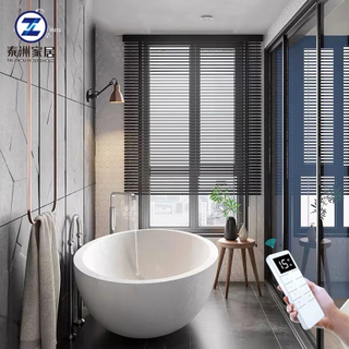 PVC Venetian Blind