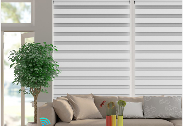 Day Night Electric Blinds