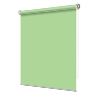 Motorized Roller Blinds Manual Roller Shades Blackout Light Filtering Sunscreen Dual Roller Shades