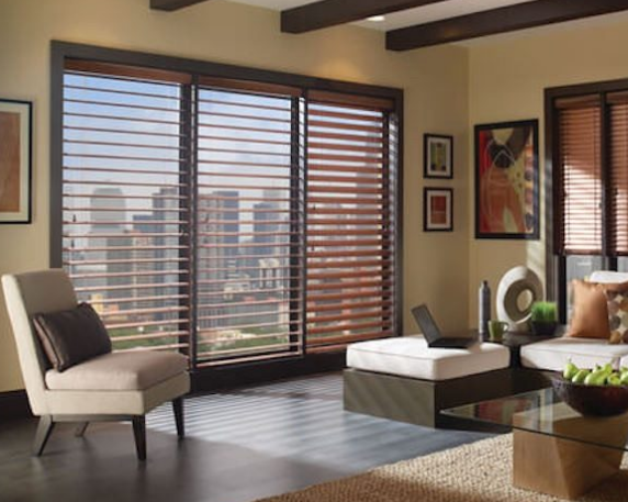 window roller blinds and shades
