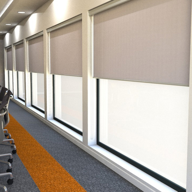 Manual Sunscreen Roller Blinds for Window shade