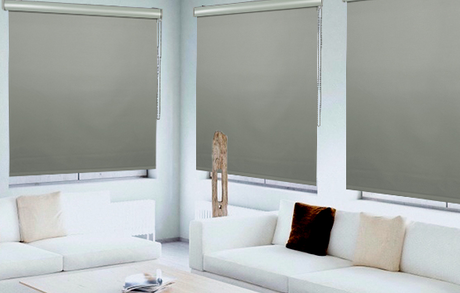 Roller Shades Windows Cover