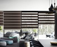 Day And Night Electric Blinds