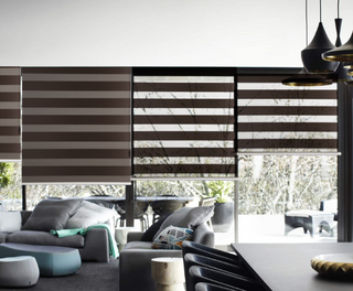 Day And Night Electric Blinds