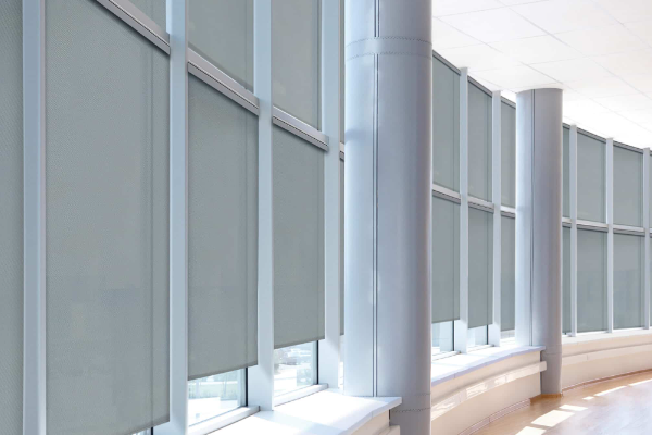 roller shades