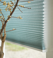 Motorized Honeycomb Blinds for Living Room 