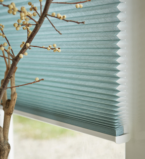 Motorized Honeycomb Blinds for Living Room 