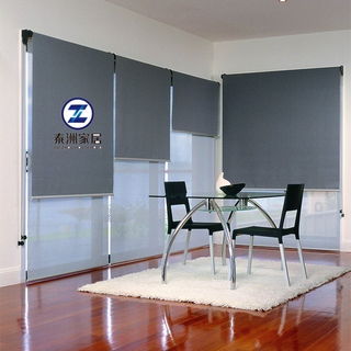 Light Filtering Manual Roller Shade For Indoor