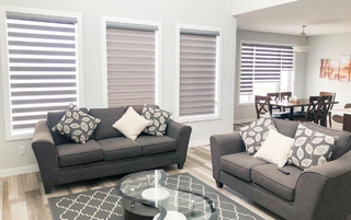 Motorised Day Night Blinds