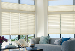 Window Blinds And Shades