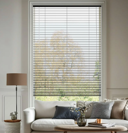 Types of Slimline Blinds.png
