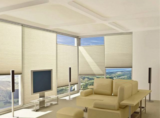 Window Blinds Cordless