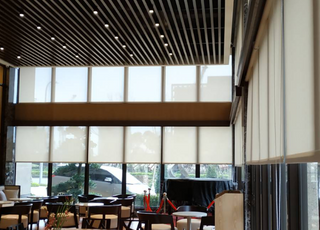 Window Roller Shades