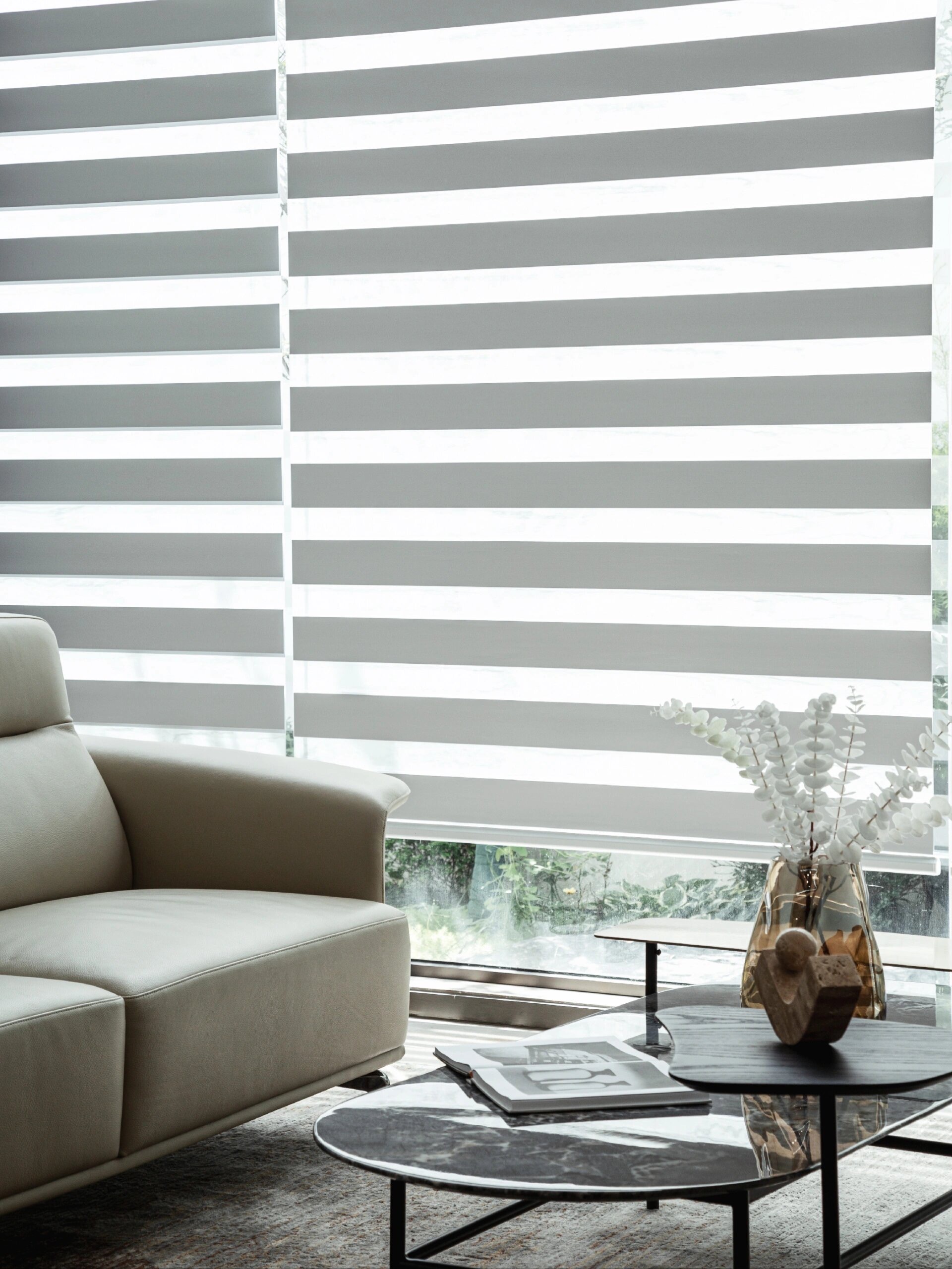 Motorized Day and Night Blinds