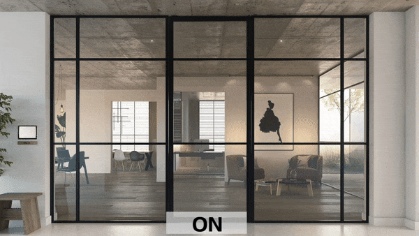 switchable glass
