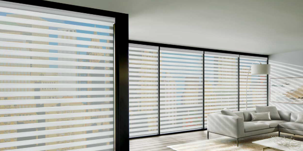 Zebra Shades for sliding glass doors in 2025
