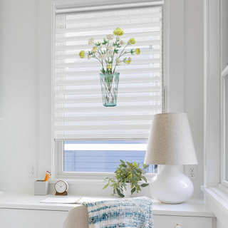 Print Fabric Zebra Blinds