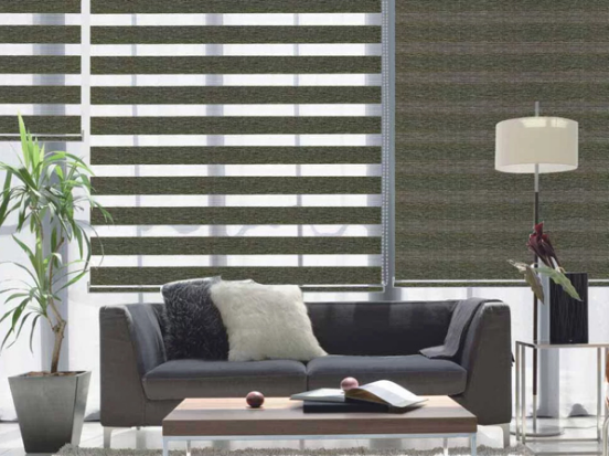 blackout day & night blinds