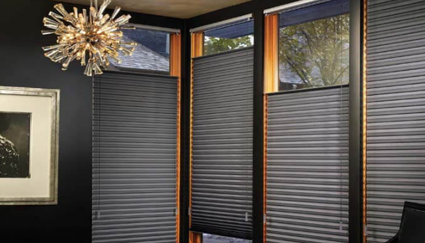 Top-Down Bottom-Up Blinds