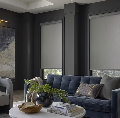 Blackout Roller Shades