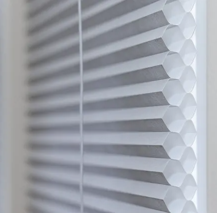 Double Cell Cellular Shades