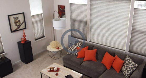 Day-Night Blinds