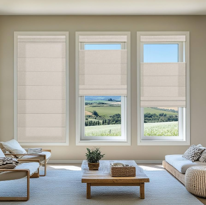 Light Filtering Perfect Fit Cordless Roman Shades