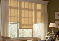 Window Shades And Blinds