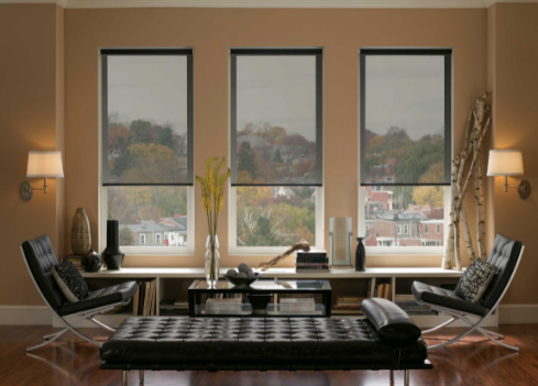 Fabric Options of Roller Blinds