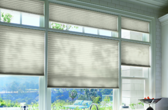 TZ BLINDS