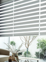 Blackout Day and Night Blinds Motorized Zebra Blinds