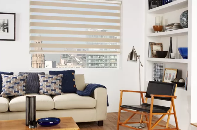 day & night blinds for living room