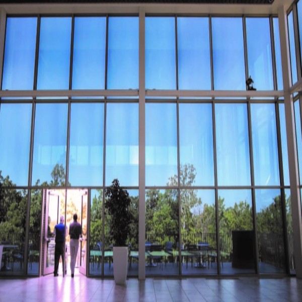 Transitional Smart Film