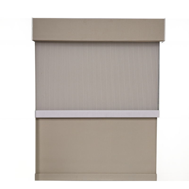 Dual Roller Shades Motorized