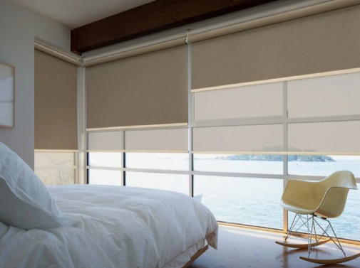 Day And Night Dual Window Blinds