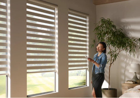 Zebra Blinds for 50 inch Windows