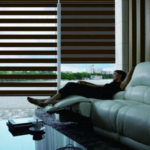 Customized Day Nite Zebra Blinds with Motor