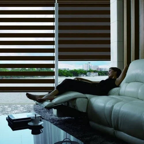 Customized Day Nite Zebra Blinds with Motor