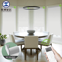 Interior Motorized Sunscreen Fabric Roller Shade