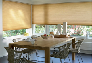 Best Window Blinds