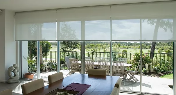 Sunscreen Roller Shades soften light and excellent daytime privacy