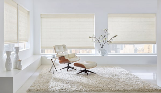 eco friendly blinds 2022