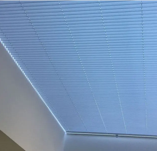 Skylight Pleated Shades