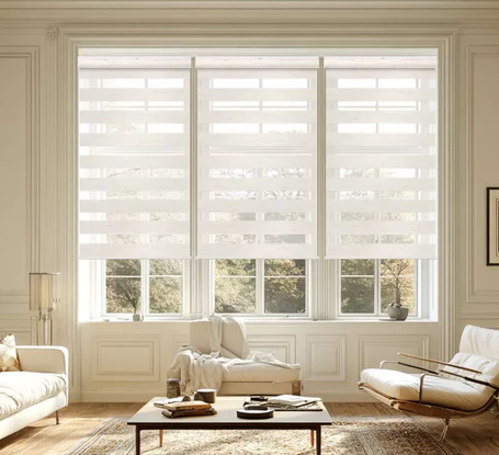How to Choose the Right Window Shades.png